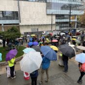 A group of umbrella's people milling about in the rain.